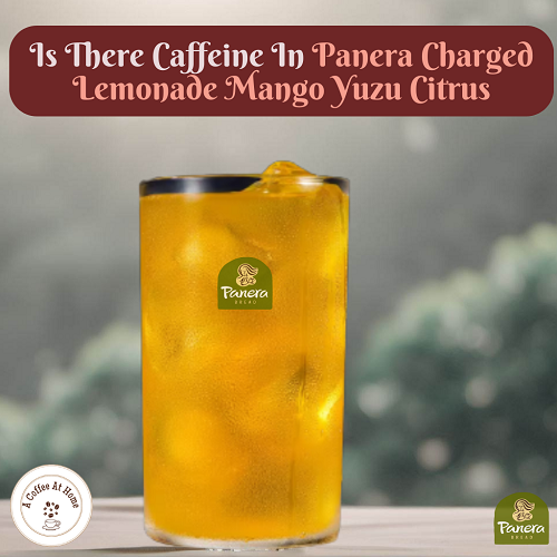 Does Panera Charged Lemonade Mango Citrus Have Caffeine?